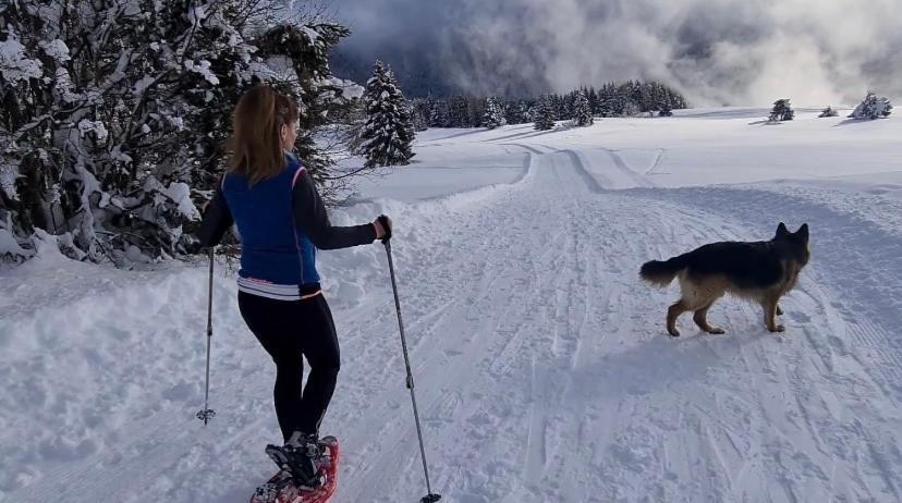 Affittacamere Dolce Sogno Coredo Bagian luar foto