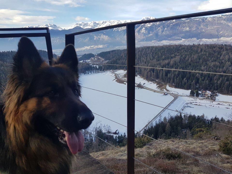 Affittacamere Dolce Sogno Coredo Bagian luar foto