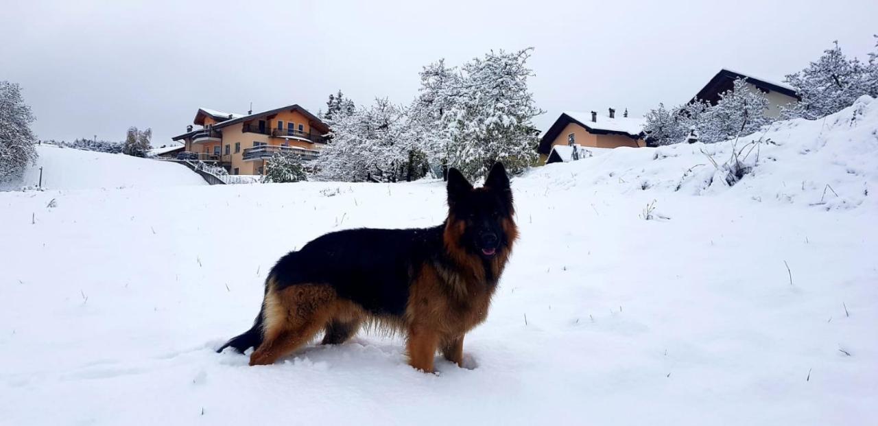 Affittacamere Dolce Sogno Coredo Bagian luar foto